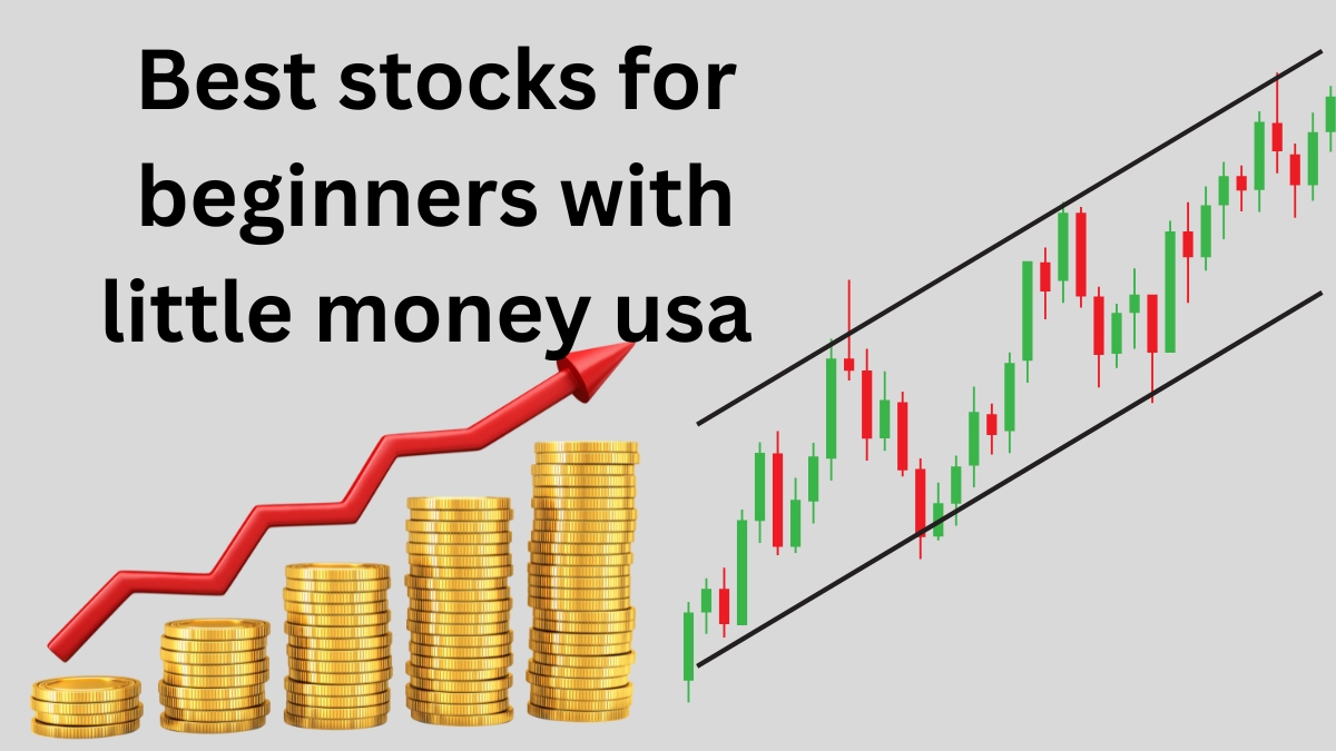 Best stocks for beginners with little money usa